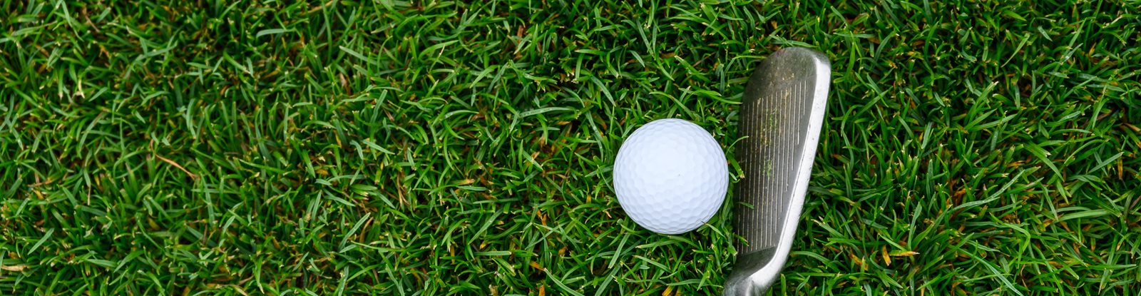Golf iron next to a golf ball on green grass.